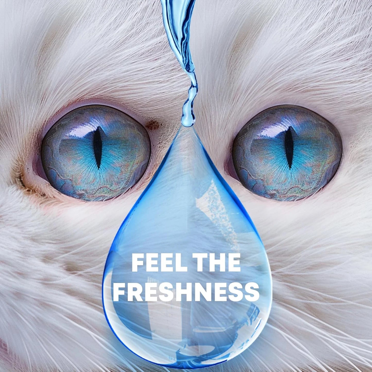 Dog Eye Drops & Eye Infection Treatment for Dogs and Cats β Soothe Infection & Allergy, Relieve Dry Eyes & Pink Eye, Pet Tear Stain Wash & Cleaner - Kitten Eye Drops for Discharge, Eye Rinse & Flush