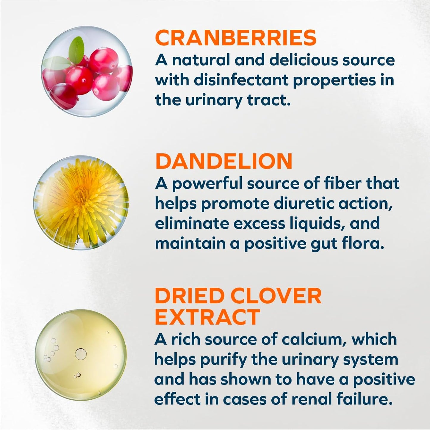 - Cat Food, Vet-Formulated Renal Wet Cat Food, Non GMO, Kidney Care Food with Lamb Flavor, Crafted for Adults, Made in Italy (3.5 Oz, 32 Pack)