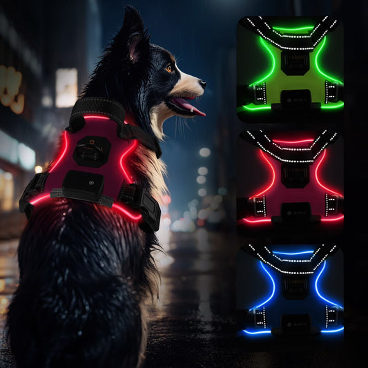Light up Dog Harness - No Pull Led Dog Harness Rechargeable Lighted Dog Harness for Night Walking Adjustable Glow Vest for Small Medium Large Dogs