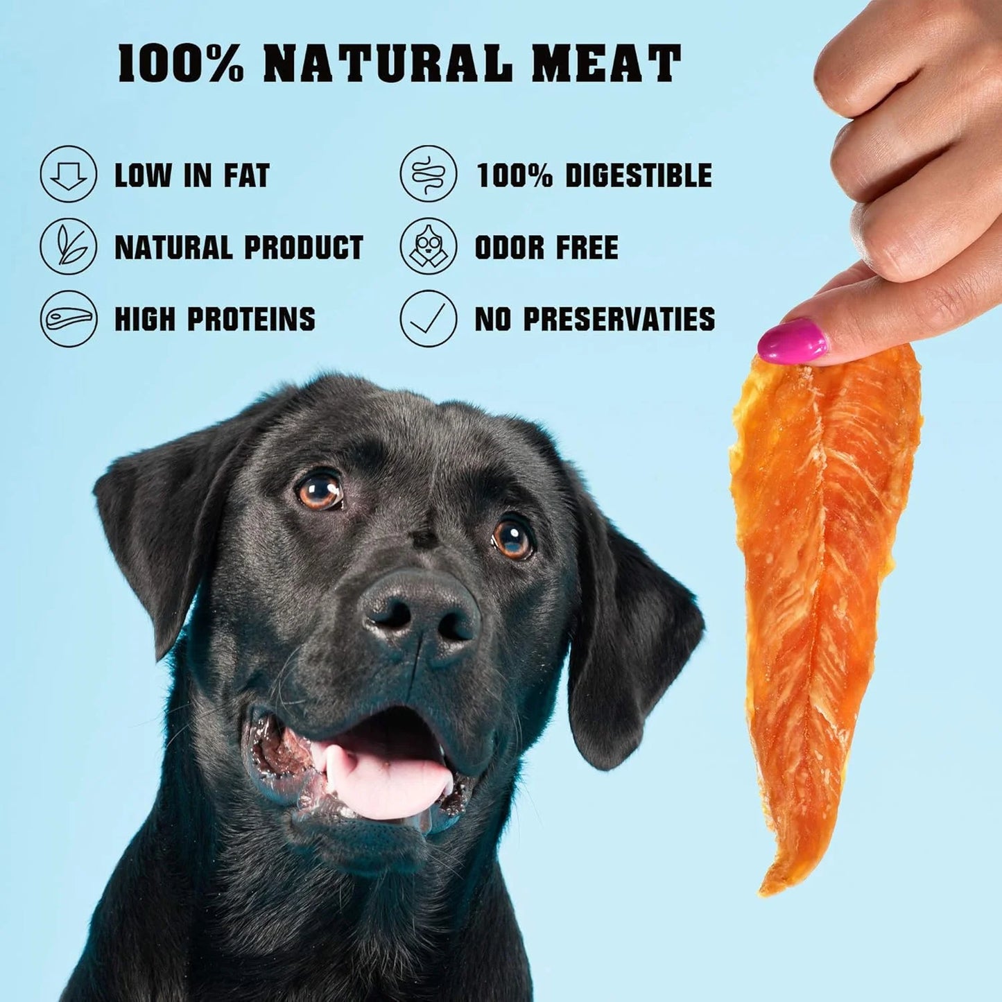 Chicken Jerky Dog Treats 1.5 Lb - Human Grade Pet Snacks & High Protein Meat - All Natural High Protein Dried Strips - Best Chews for Training Small & Large Dogs - Bulk Soft Pack Made for USA
