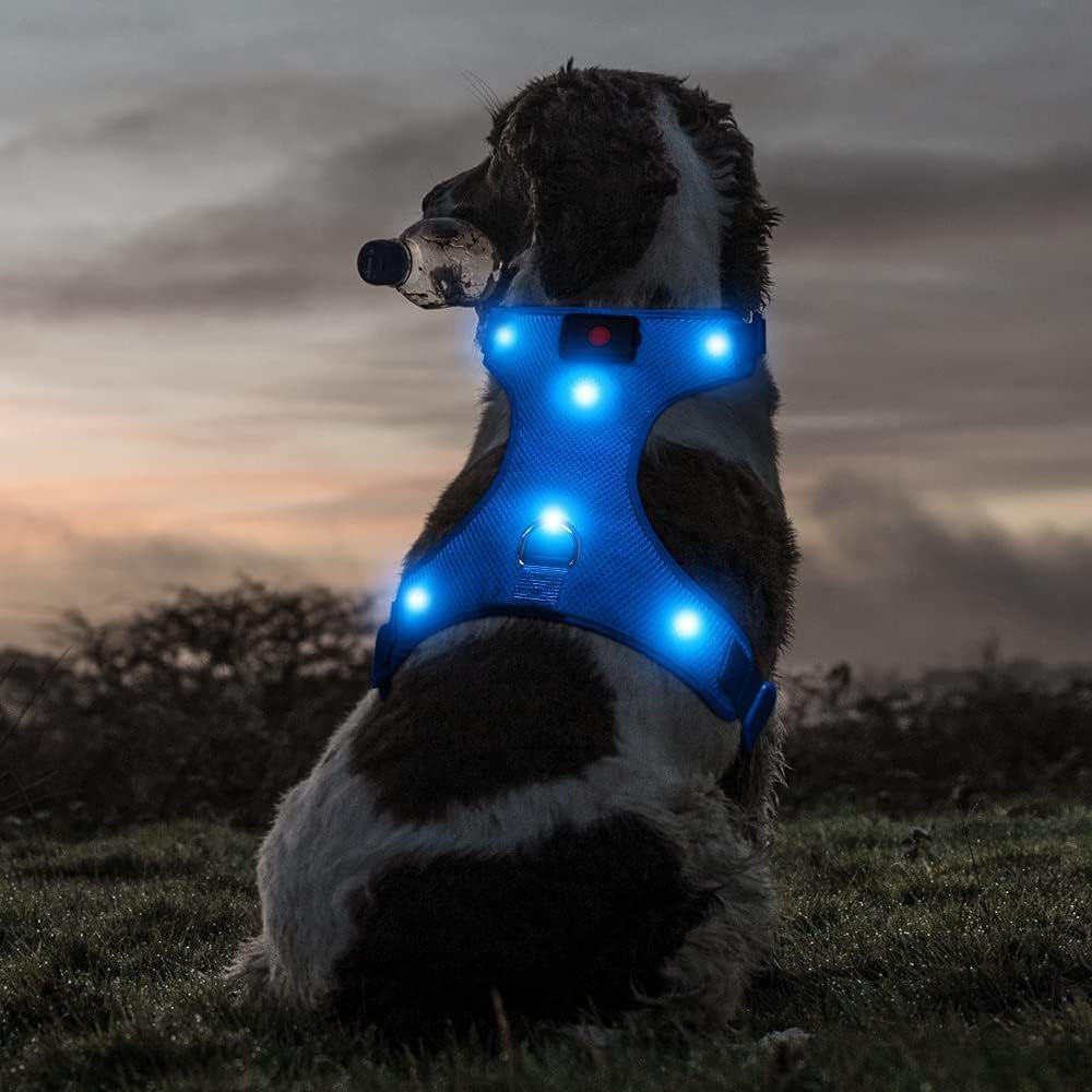 LED Dog Harness, Lighted up USB Rechargeable Pet Harness, Illuminated Reflective Glowing Dog Vest Adjustable Soft Padded No-Pull Suit for Small, Medium, Large Dogs (Blue, S)