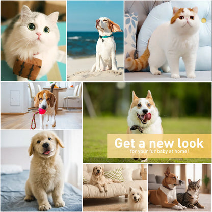 Dogs Hair Clippers Grooming Kit - 4 in 1 Electric Cordless Cordless Pet Nail Grinder for Dog Cat, Pet Clippers Grooming Paws, Eyes, Ears, Face,Nail, Hair