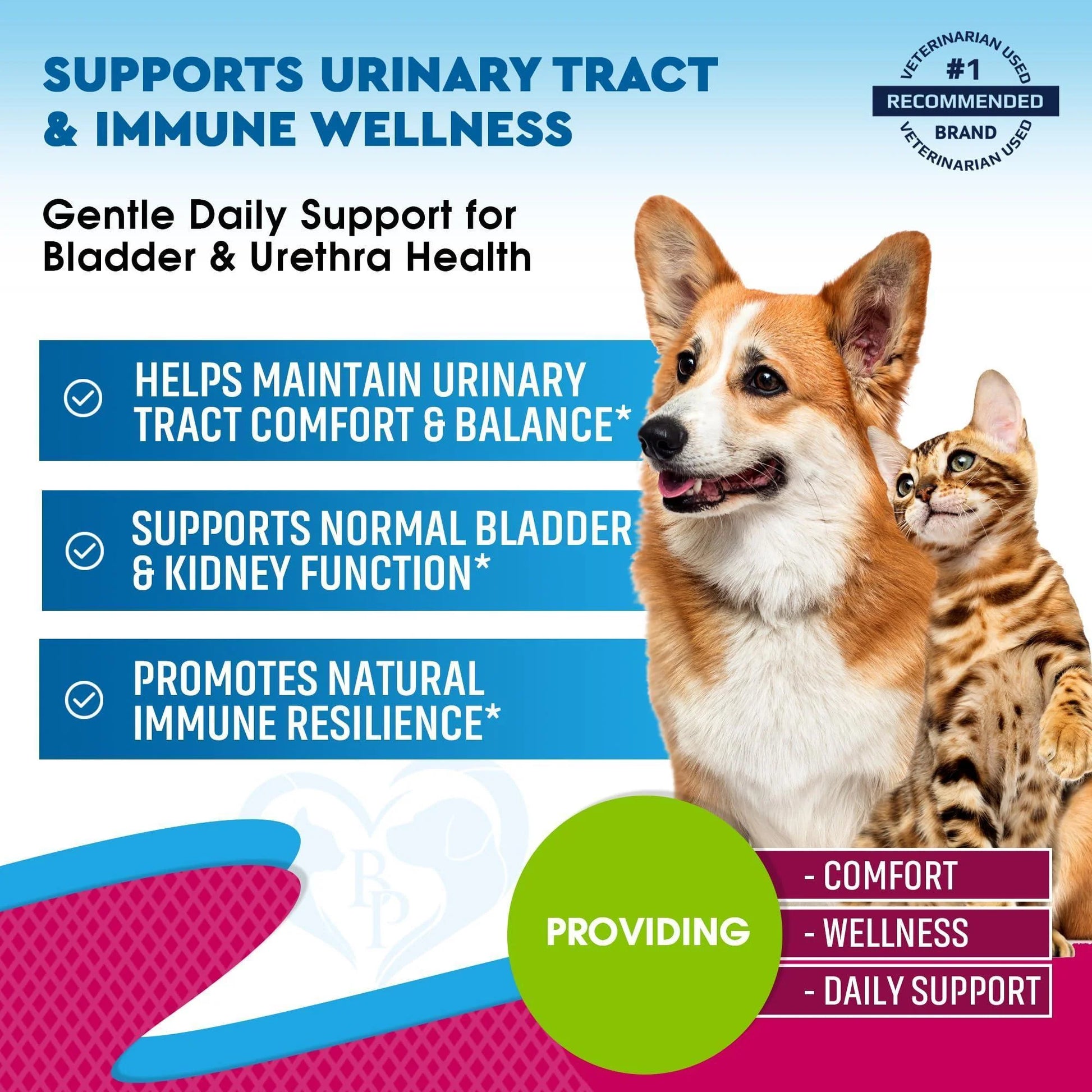 Cat Dog Urinary Tract Infection Treatment Natural UTI Medicine Cranberry 2 Pack 60 Ml D Mannose Kidney Bladder Support Best for Incontinence Pet Renal Health & Care Drops