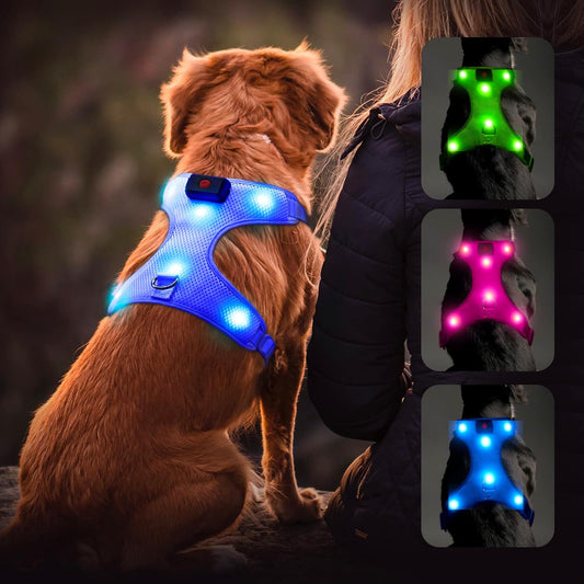LED Dog Harness, Lighted up USB Rechargeable Pet Harness, Illuminated Reflective Glowing Dog Vest Adjustable Soft Padded No-Pull Suit for Small, Medium, Large Dogs (Blue, S)