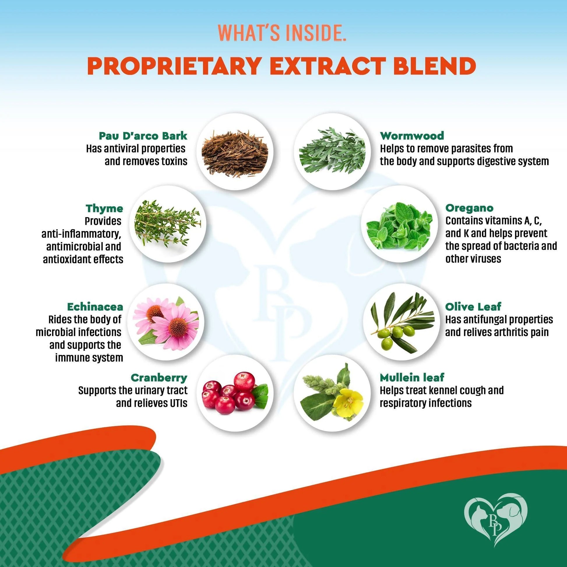 Natural Herbal Antibiotics for Cats and Dogs Kennel Cough Relief & Urinary Tract Support Cranberry UTI Treatment Pet Supplement Respiratory & Cold Infection Medicine Made in USA