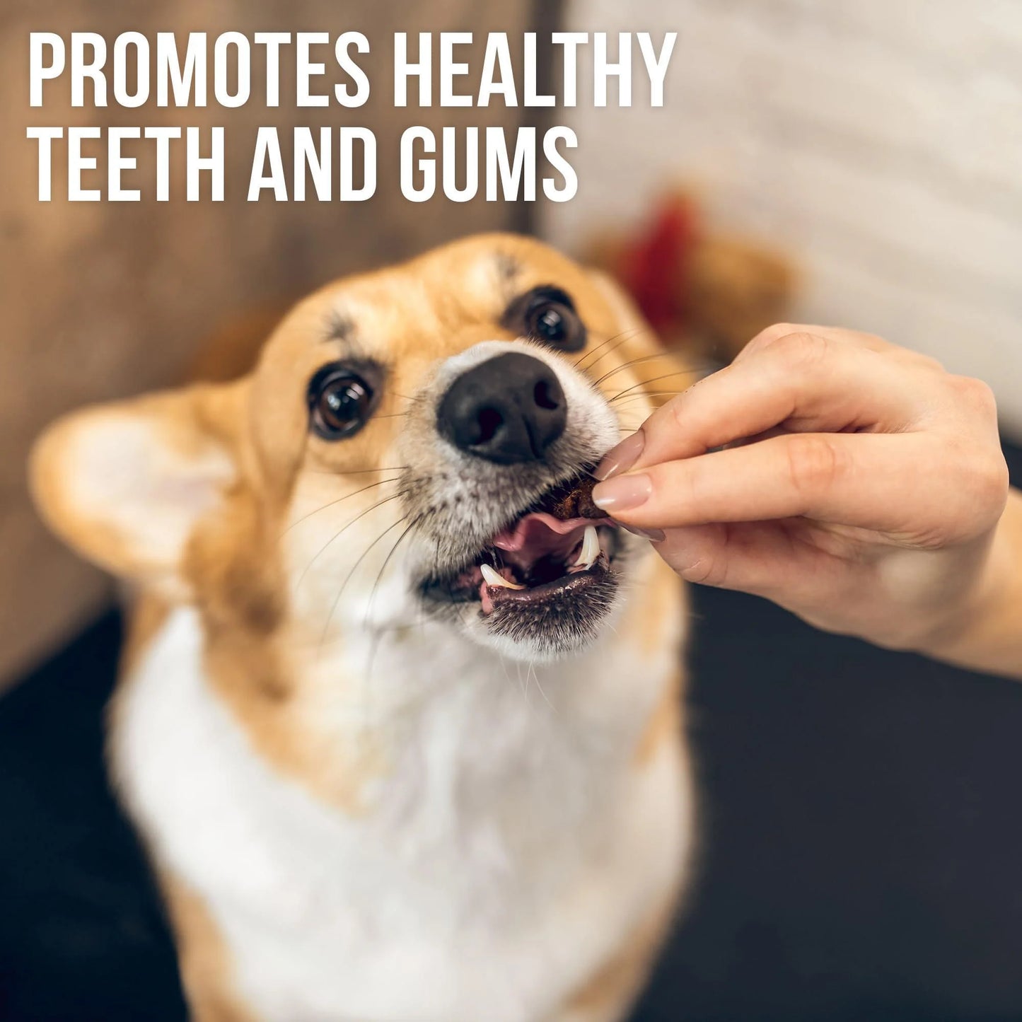 Chicken Jerky Dog Treats Human Grade Grain Free Organic Meat All Natural High Protein Dried Strips Best Chews for Training Small & Large Dogs Bulk Soft Pack Made for USA 24 Oz. (Sweet Potato)