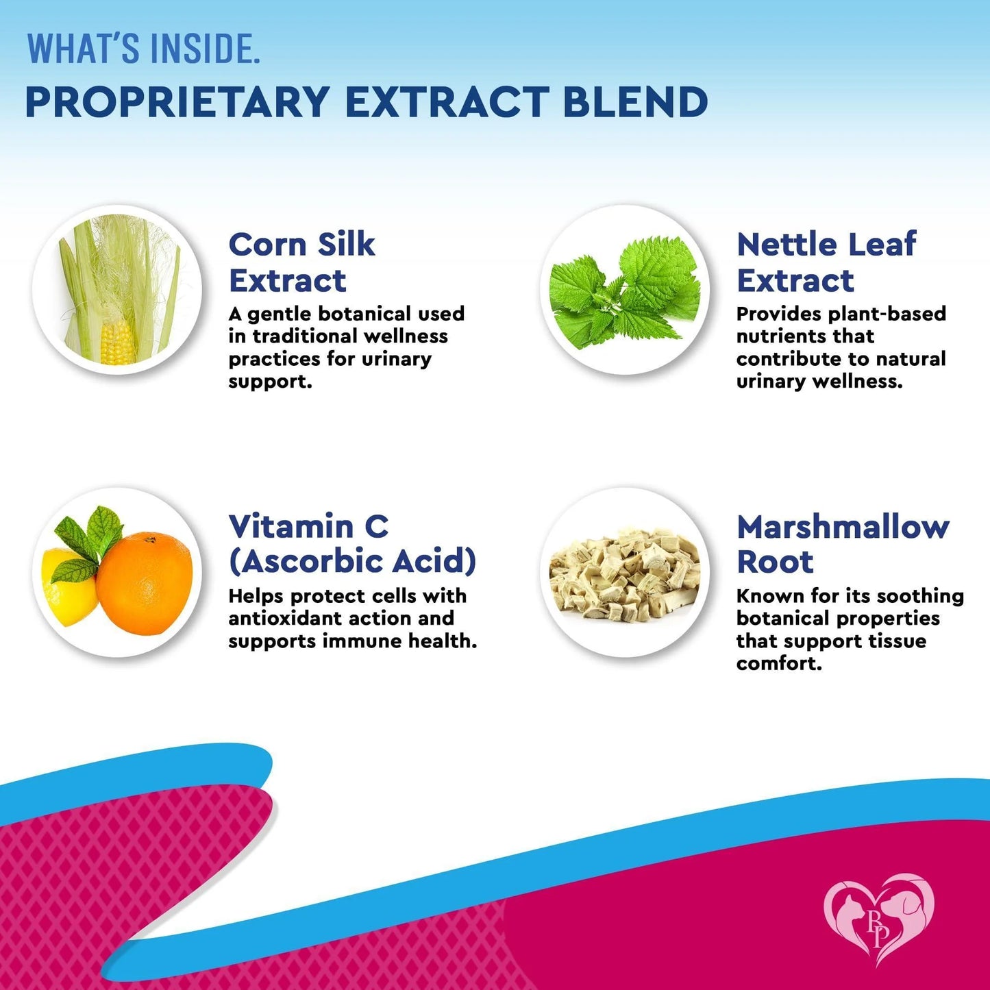 Cat Dog Urinary Tract Infection Treatment Natural UTI Medicine Cranberry 2 Pack 60 Ml D Mannose Kidney Bladder Support Best for Incontinence Pet Renal Health & Care Drops