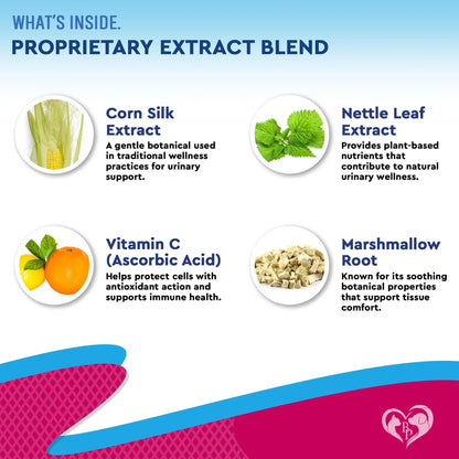 Cat Dog Urinary Tract Infection Treatment Natural UTI Medicine Cranberry 2 Pack 60 Ml D Mannose Kidney Bladder Support Best for Incontinence Pet Renal Health & Care Drops