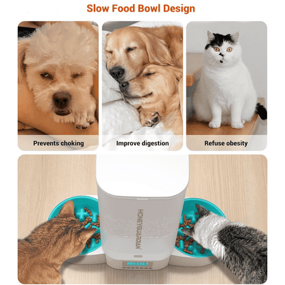 5L Large Capacity  Automatic Cat Feeder for Two Cats,5L Cat Food Dispenser with Slow Feeder Bowl, Timed Cat Feeder Programmable 1-6 Meals Control, Dual Power Supply, 10S Meal Call White