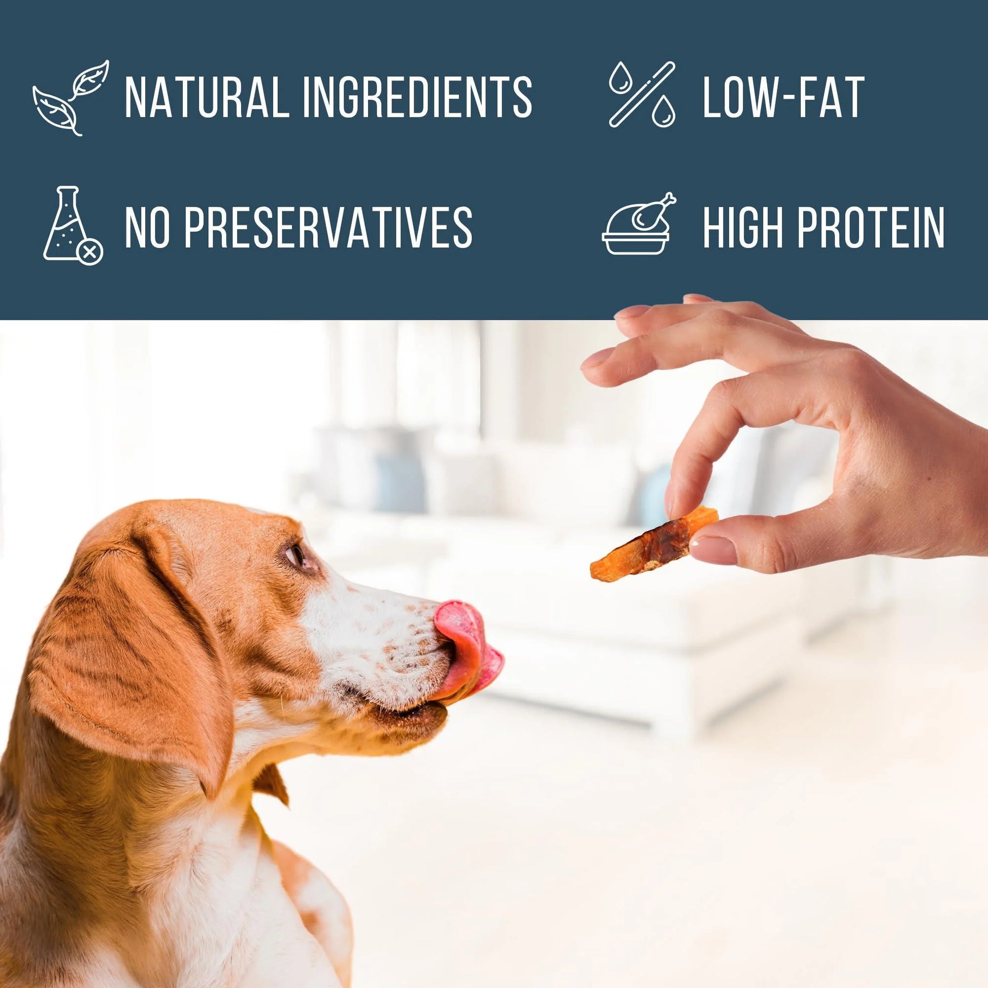 Chicken Jerky Dog Treats Human Grade Grain Free Organic Meat All Natural High Protein Dried Strips Best Chews for Training Small & Large Dogs Bulk Soft Pack Made for USA 24 Oz. (Sweet Potato)