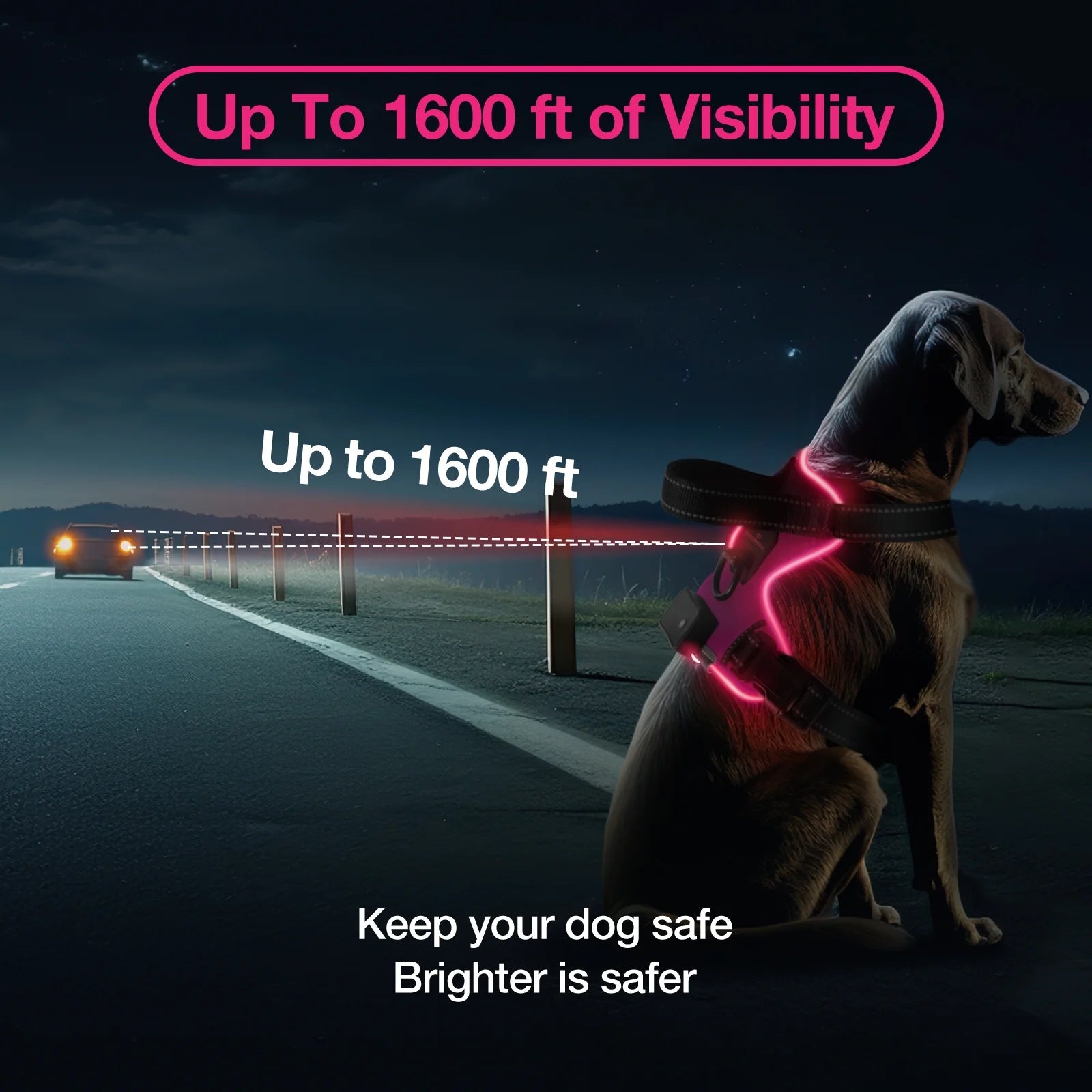 Light up Dog Harness - No Pull Led Dog Harness Rechargeable Lighted Dog Harness for Night Walking Adjustable Glow Vest for Small Medium Large Dogs