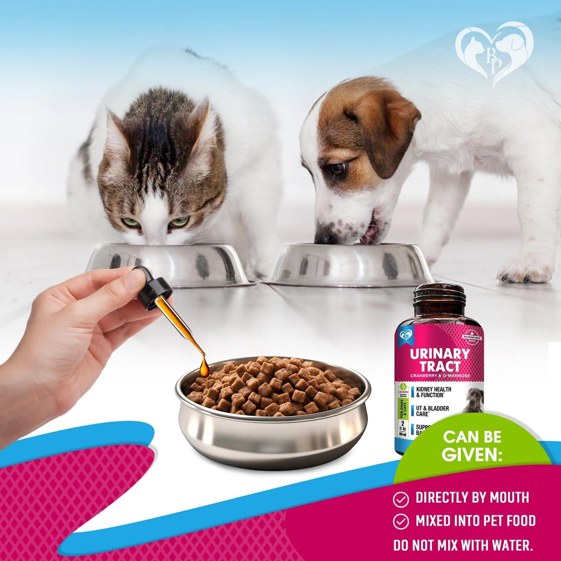 Cat Dog Urinary Tract Infection Treatment Natural UTI Medicine Cranberry 2 Pack 60 Ml D Mannose Kidney Bladder Support Best for Incontinence Pet Renal Health & Care Drops
