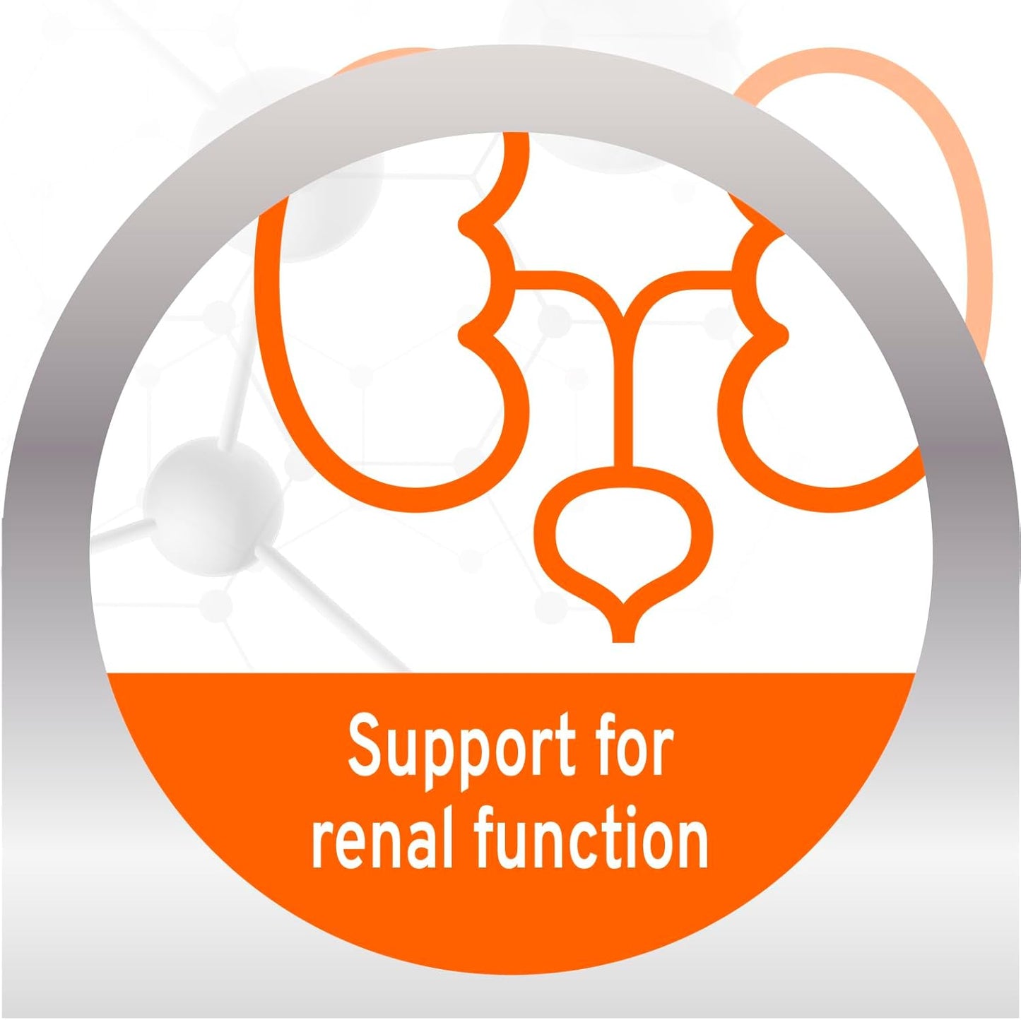 - Cat Food, Vet-Formulated Renal Wet Cat Food, Non GMO, Kidney Care Food with Lamb Flavor, Crafted for Adults, Made in Italy (3.5 Oz, 32 Pack)