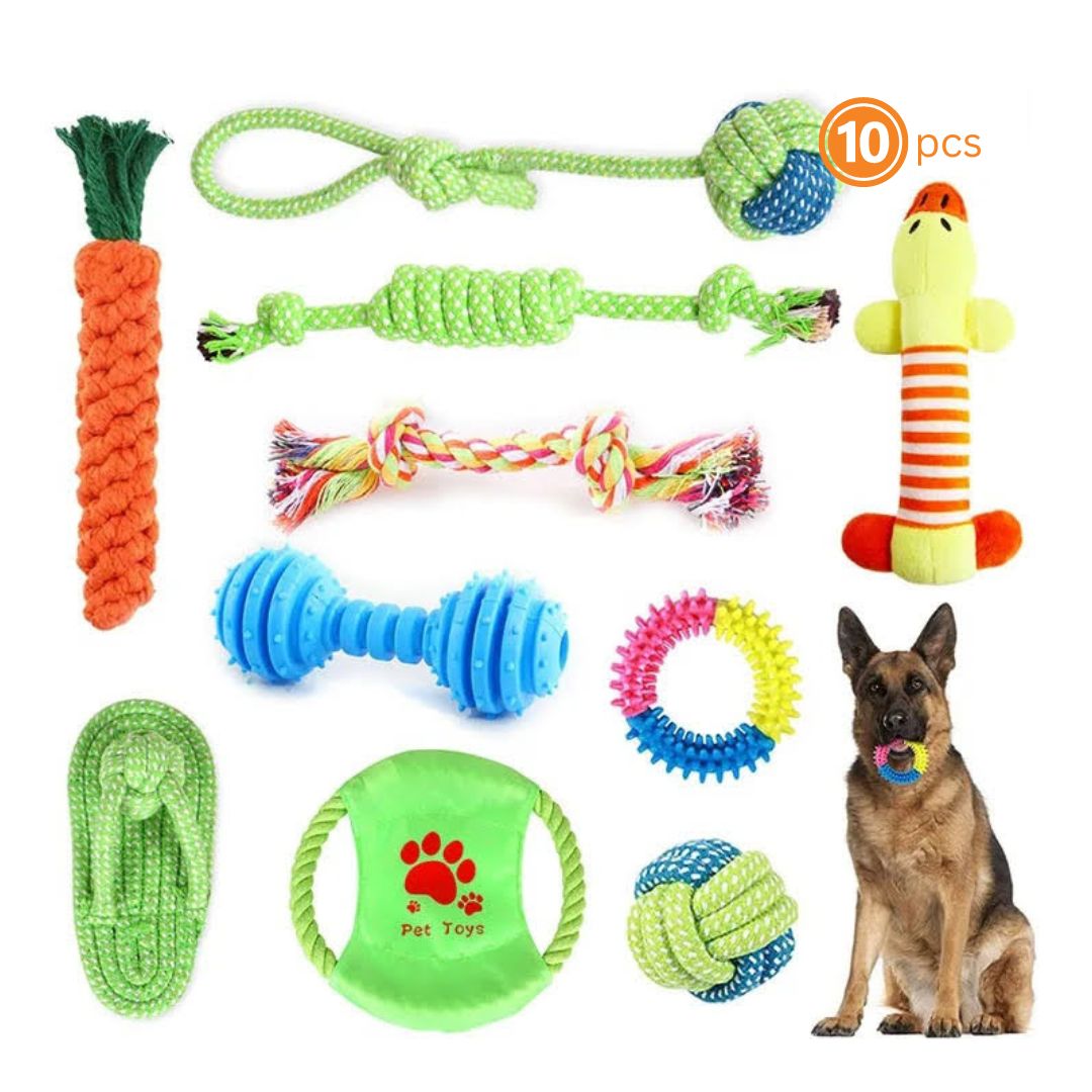 Bite-Resistant Dog Toys