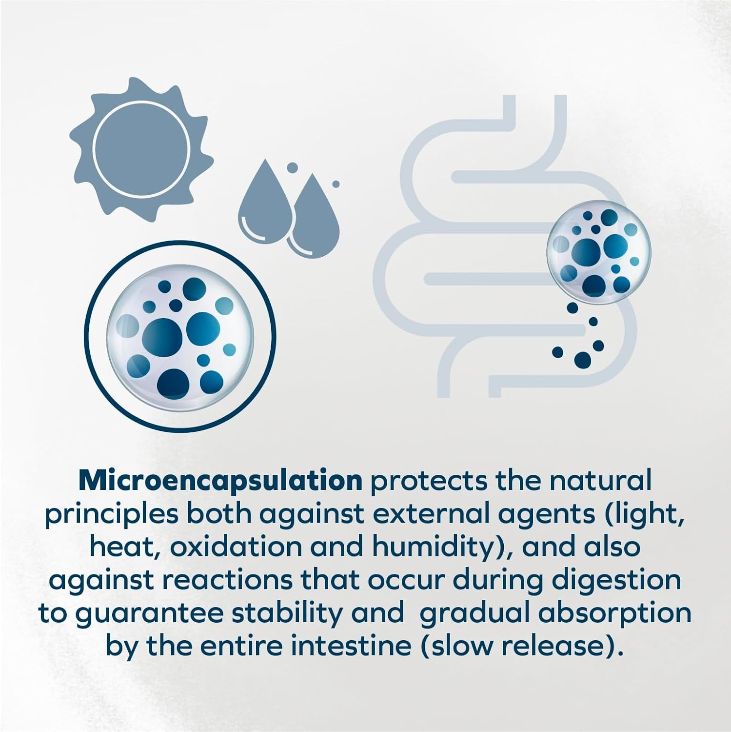 - Cat Food, Vet-Formulated Renal Wet Cat Food, Non GMO, Kidney Care Food with Lamb Flavor, Crafted for Adults, Made in Italy (3.5 Oz, 32 Pack)