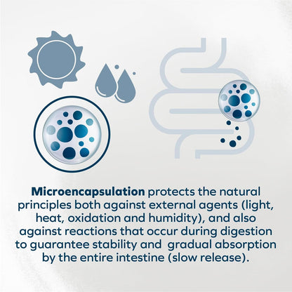 - Cat Food, Vet-Formulated Renal Wet Cat Food, Non GMO, Kidney Care Food with Lamb Flavor, Crafted for Adults, Made in Italy (3.5 Oz, 32 Pack)